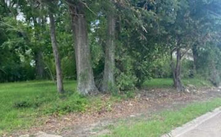 Pictures of Land property located at 116 E Harriet St, Leesville, LA 71446 for sales - image #1