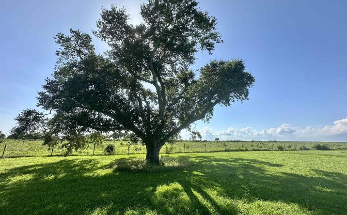 Pictures of Land property located at 163 Mallard Ln, Cameron, LA 70631 for sales - image #1