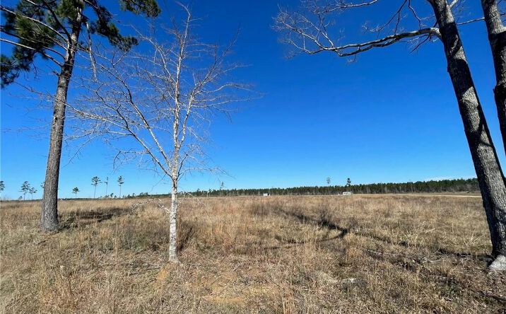 Pictures of Land property located at Camp Edgewood Rd, DeQuincy, LA 70633 for sales - image #1