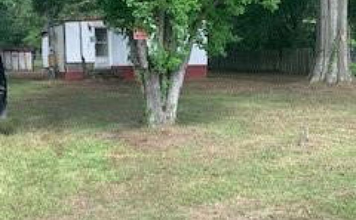 Pictures of Land property located at 9th Street, Leesville, LA 71446 for sales - image #1