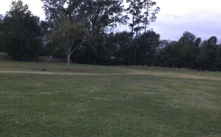 Pictures of Land property located at Trina Ln, Sulphur, LA 70663 for sales - image #1