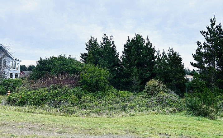 Pictures of Land property located at 568 Point Brown Ave NE, Ocean Shores, WA 98569 for sales - image #1