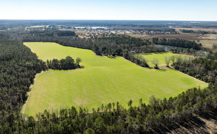 Pictures of Land property located at Sam Tillman Rd, Statesboro, GA 30458 for sales - image #1