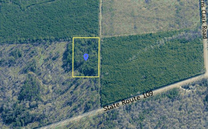 Pictures of Land property located at TBD Off Hwy 109, Singer, LA 70634 for sales - image #1