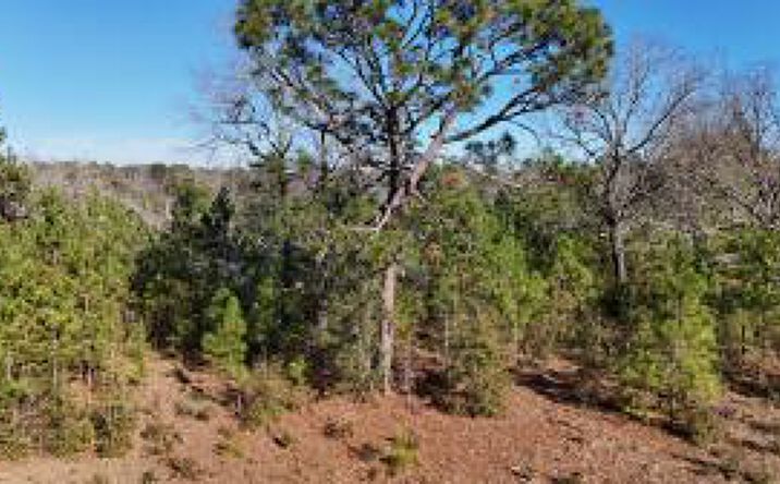 Pictures of Land property located at 301 Fairway Drive, New Ellenton, SC 29809 for sales - image #1