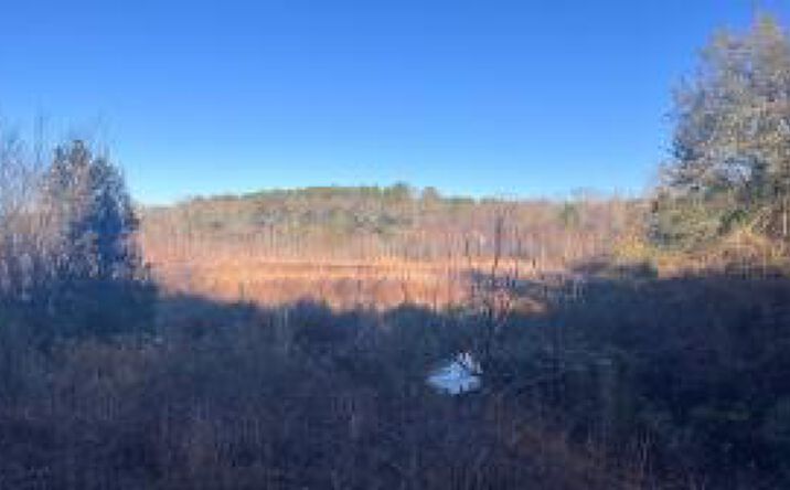 Pictures of Land, Hospitality, Industrial, Multifamily, Office, Special Purpose, Retail property located at Millers Pond Road, Wagener, SC 29164 for sales - image #1