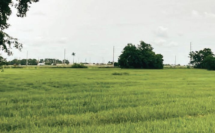 Pictures of Land property located at 2444 FL-15, Belle Glade, FL 33430 for sales - image #1