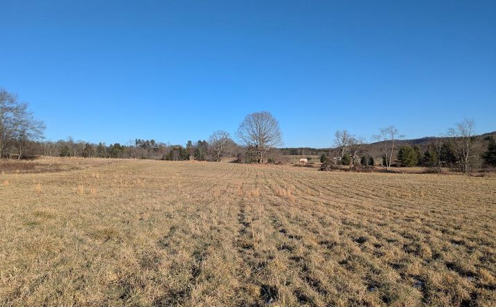 Pictures of Land, Multifamily property located at TBD Firehouse Rd, Willis, VA 24380 for sales - image #1