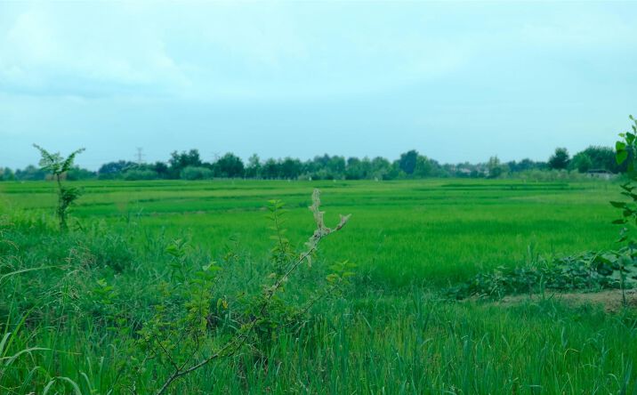 Pictures of Land property located at 202 W Hwy 90, Iowa, LA 70647 for sales - image #1
