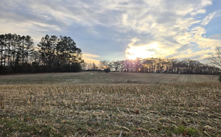 Pictures of Land property located at Newt Rd, Albemarle, NC 28001 for sales - image #1