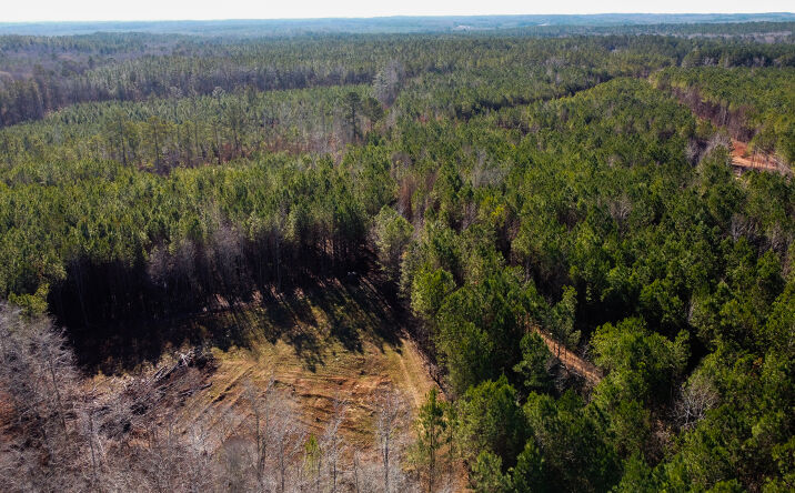 Pictures of Land property located at Lee County Rd 254, Salem, AL 36874 for sales - image #1