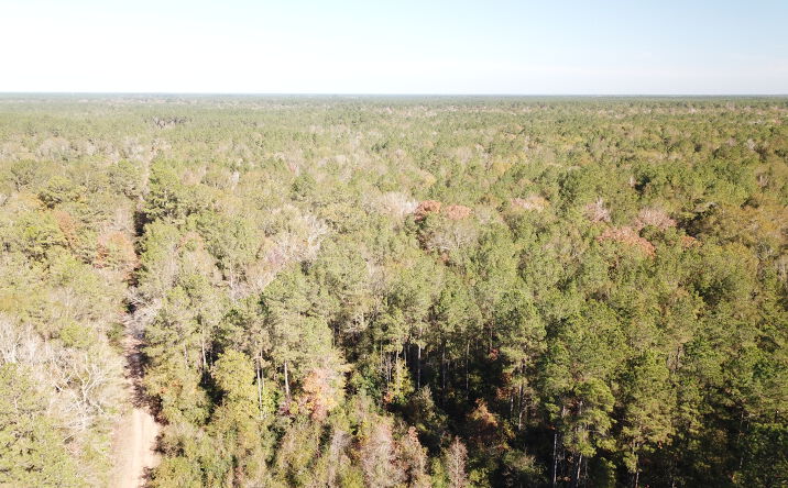 Pictures of Land property located at Holland Rd, Kountze, TX 77625 for sales - image #1