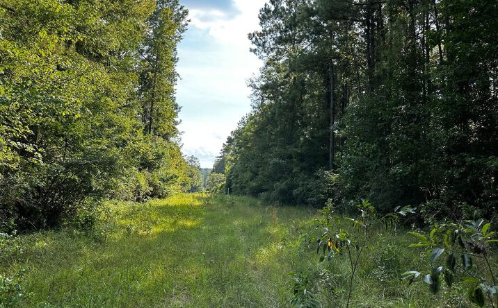 Pictures of Land property located at 0 Benndale Road, Wiggins, MS 39577 for sales - image #1