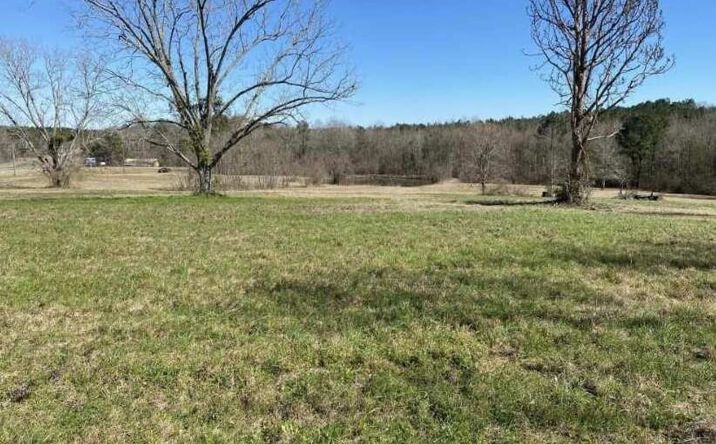 Pictures of Land property located at 7918 Us Hwy 98, Sumrall, MS 39482 for sales - image #1
