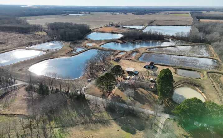 Pictures of Land property located at 6076 Mertens Rd, Devalls Bluff, AR 72041 for sales - image #1