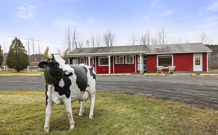 Pictures of Mixed Use property located at 11051 State Rte 9w, Coxsackie, NY 12051 for sales - image #1
