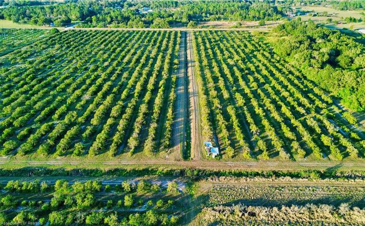 Pictures of Land property located at 2233 Hicks Rd, Lorida, FL 33857 for sales - image #1