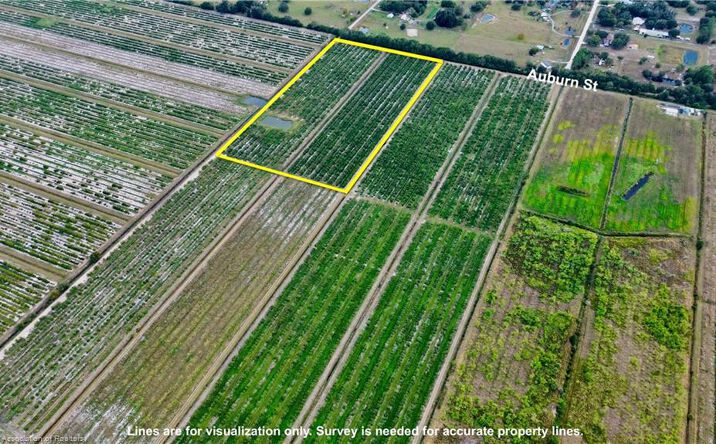 Pictures of Land property located at 3288 Auburn St, Lorida, FL 33857 for sales - image #1