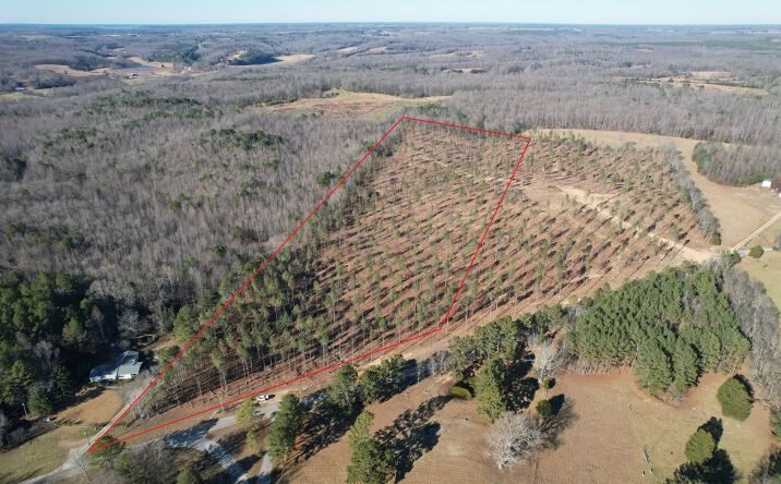 Pictures of Land property located at 6115 Gilchrist Rd, Cypress Inn, TN 38452 for sales - image #1