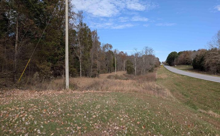 Pictures of Land property located at State Highway 145 N Highway, Stonefort, IL 62987 for sales - image #1