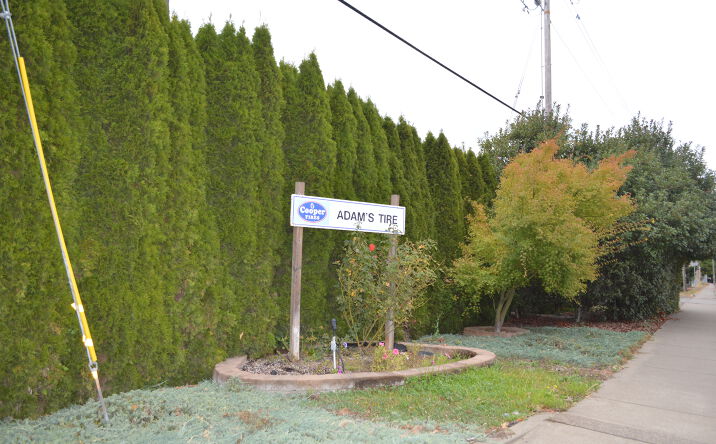Pictures of Special Purpose property located at 230 Shell Ln., Willits, CA 95490 for sales - image #1