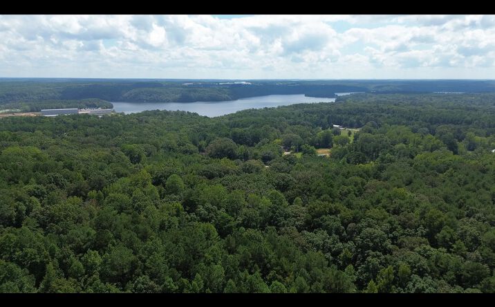 Pictures of Land property located at 177 Co Rd 321, Iuka, MS 38852 for sales - image #1