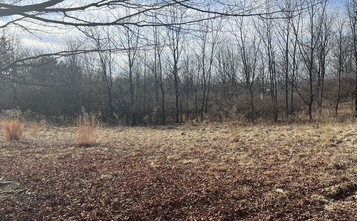Pictures of Land property located at 199 Highland Rd, East Stroudsburg, PA 18301 for sales - image #1