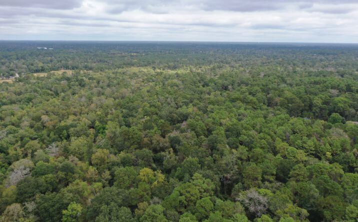 Pictures of Land, Special Purpose property located at Stella Ln, Tomball, TX 77375 for sales - image #1