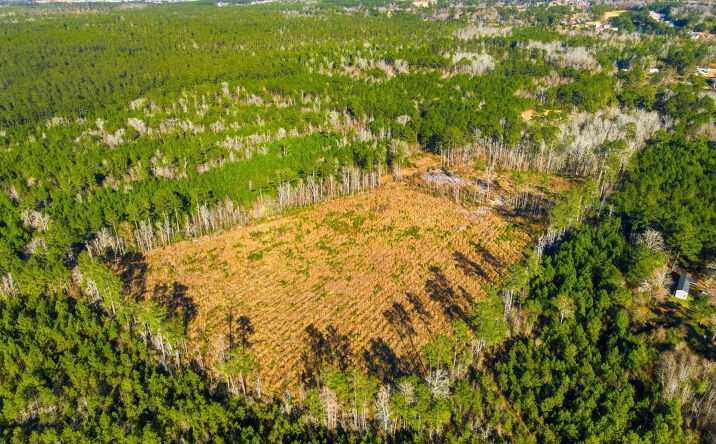 Pictures of Land, Special Purpose property located at Freemont Rd, Longs, SC 29568 for sales - image #1