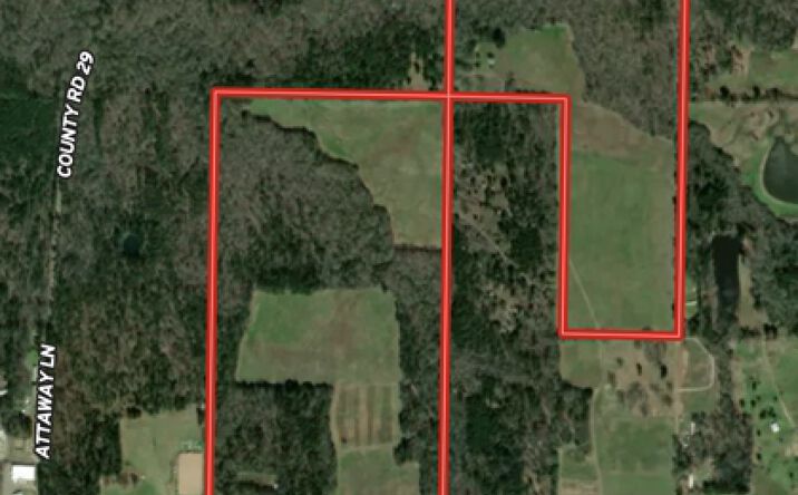 Pictures of Land property located at TBD Redcut Rd, Fouke, AR 71837 for sales - image #1