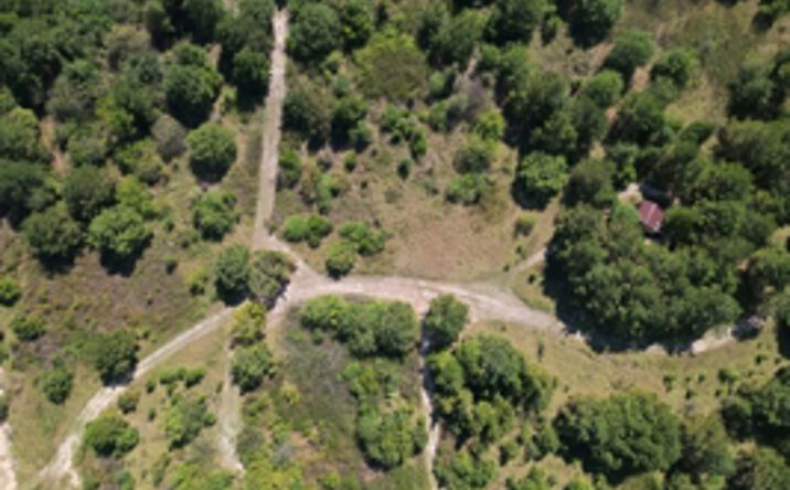 Pictures of Land property located at TBD CR 4114, Atlanta, TX 75551 for sales - image #1