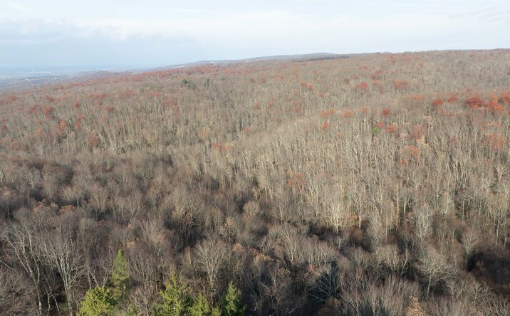 Pictures of Land property located at 30.375 Sur Gum Springs, Morgantown, WV 26508 for sales - image #1