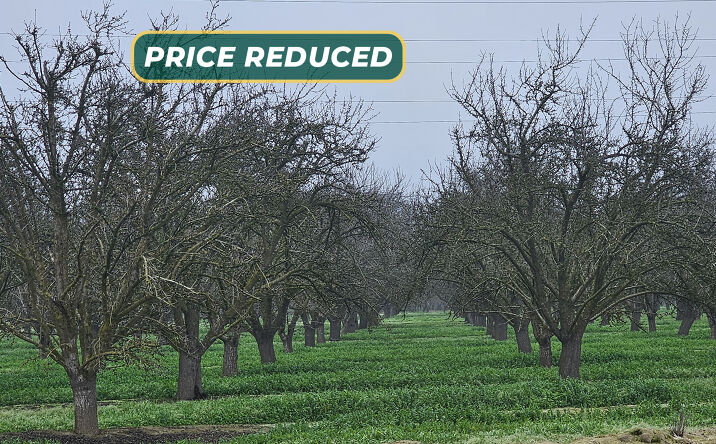 Pictures of Land property located at SEC Whitesbridge & Hayes Ave., Fresno, CA 93706 for sales - image #1