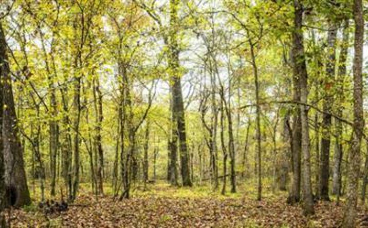 Pictures of Land property located at 13500 Kanis Rd, Little Rock, AR 72211 for sales - image #1