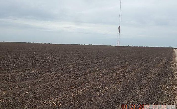 Pictures of Land property located at CR 3450 E Bush Rd, Raymondville, TX 78580 for sales - image #1