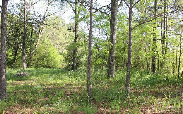 Pictures of Land property located at 1374 Co Rd 490, Cullman, AL 35055 for sales - image #1