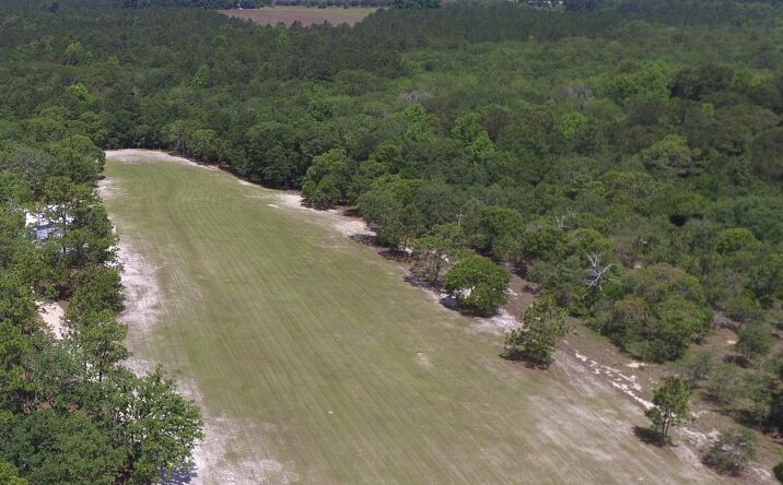 Pictures of Land property located at 0 Ben Grady Collins Rd, Portal, GA 30450 for sales - image #1
