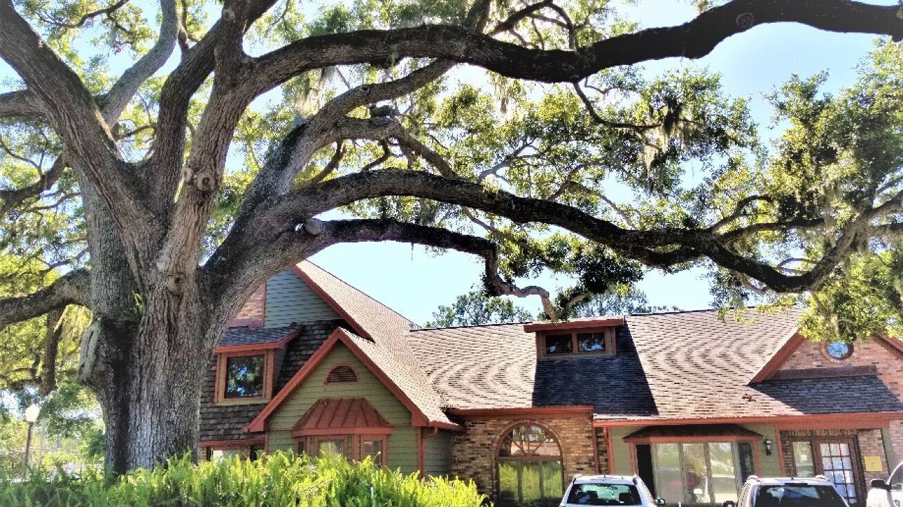 1022 Main Street, Suite A & B, Dunedin, FL 34698 Office Property for