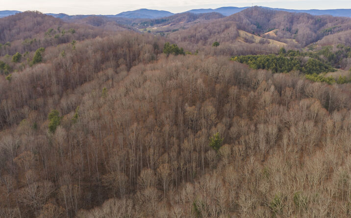 Pictures of Land property located at 0000 Foster Oliver Lane, Lansing, NC 28643 for sales - image #1