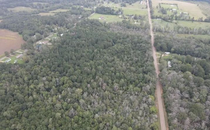 Pictures of Land property located at MS 35 N, 69444, MS 39056 for sales - image #1