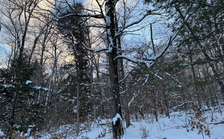 Pictures of Land property located at Starlight Road, Thompson, NY 12701 for sales - image #1
