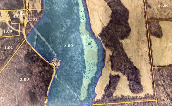 Pictures of Land property located at BRUCE Road, Whiteville, TN 38075 for sales - image #1