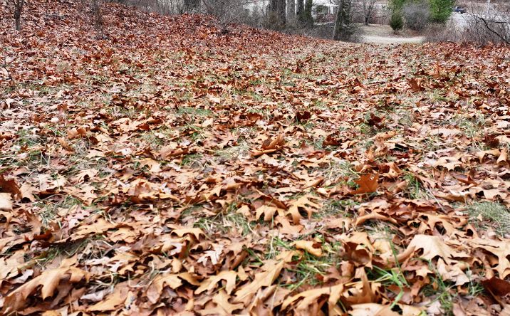 Pictures of Land property located at 2567 Reservoir St, Harrisonburg, VA 22801 for sales - image #1