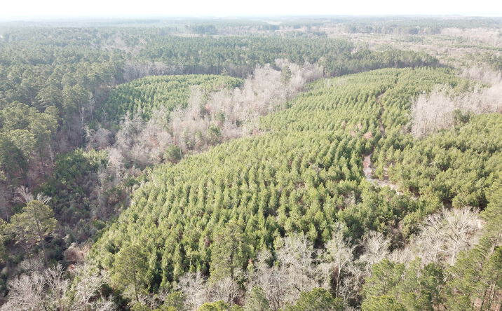 Pictures of Land property located at McManus Rd, Zwolle, LA 71486 for sales - image #1