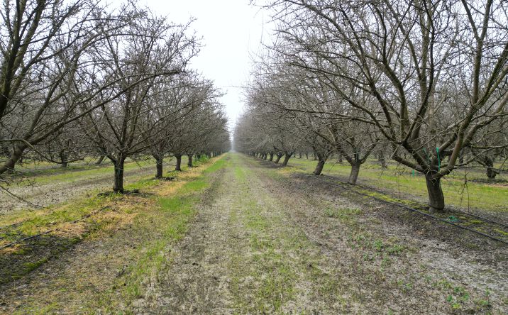 Pictures of Land property located at 8350 17 1/2 Ave., Lemoore, CA 93245 for sales - image #1
