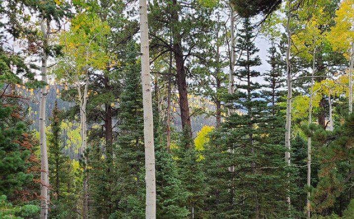 Pictures of Land property located at Ponderosa Rd. Lot 134 West Village, Beaver, UT 84713 for sales - image #1