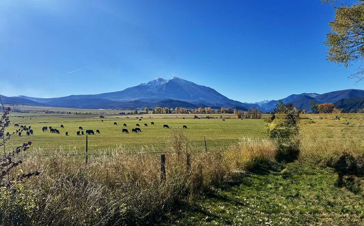 Pictures of Land property located at 977 Co Rd 101, Carbondale, CO 81623 for sales - image #1