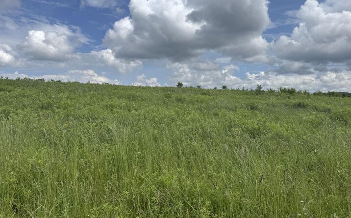Pictures of Land property located at 0 Beck Rd, Loretto, PA 15940 for sales - image #1