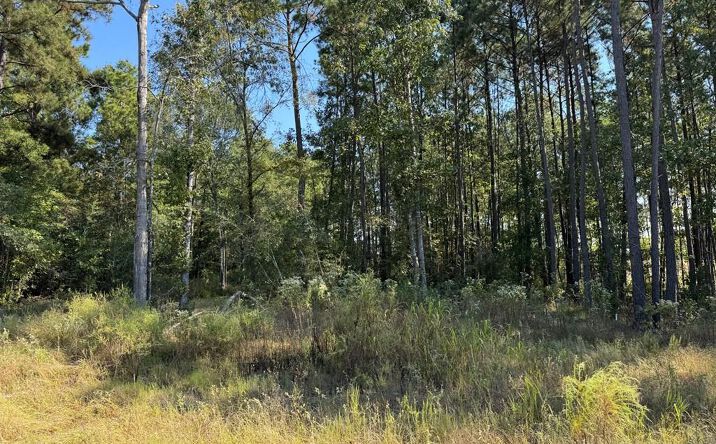 Pictures of Land property located at 125 Yaupon Ct, Lufkin, TX 75904 for sales - image #1
