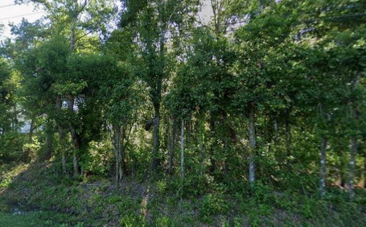 Pictures of Land property located at 0 State Hwy 181, Fairhope, AL 36532 for sales - image #1